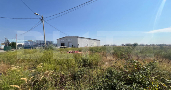 Teren 5000 mp comercial/industrial Calea Bucuresti, zona est