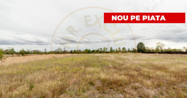 Teren intravilan 3000 mp, Oarja, Arges – amplasament excel