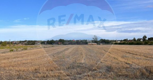 Teren intravilan de vanzare