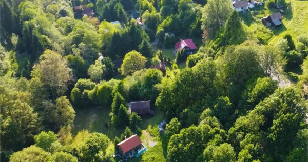 FILM!2.000 mp teren in miracolul naturii autentice casa caba