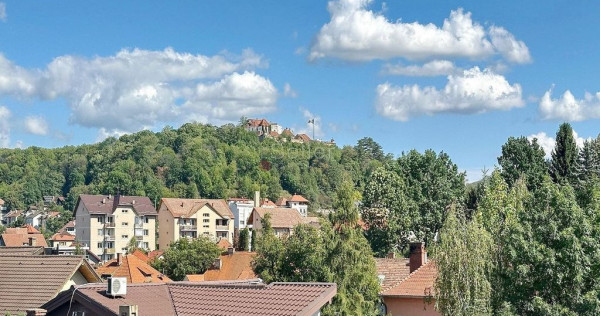 Zona Centrala Structura Decomandata