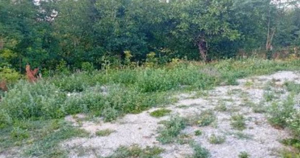 -teren intravilan, loc. Daesti, jud. Valcea