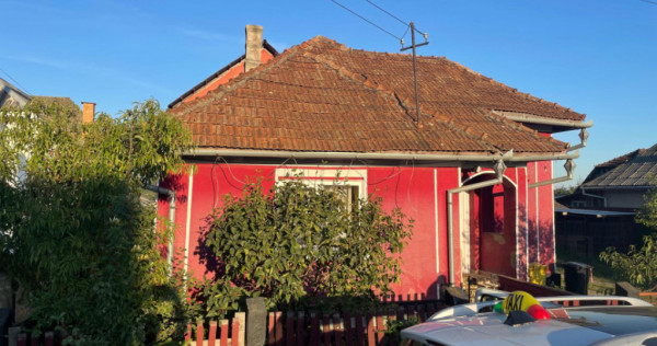 Investitie pentru liniste si oaza de verdeata