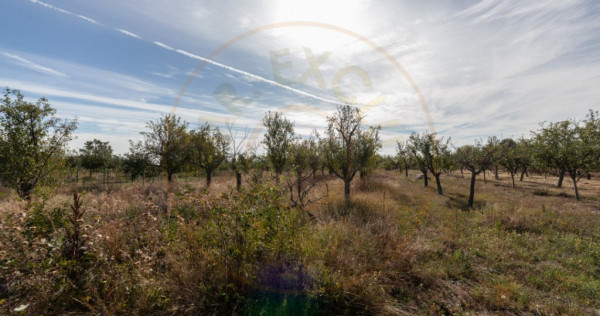 Teren 2.847 mp in comuna Cuca, AG