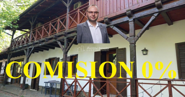 Ilidia, Afacere la Cheie, Casa de Vacanta 20 Incaperi, ZERO