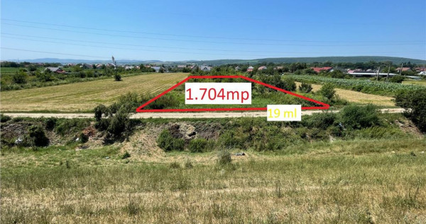 Hemeiusi - zona Parcului Dendrologic - 1.704mp
