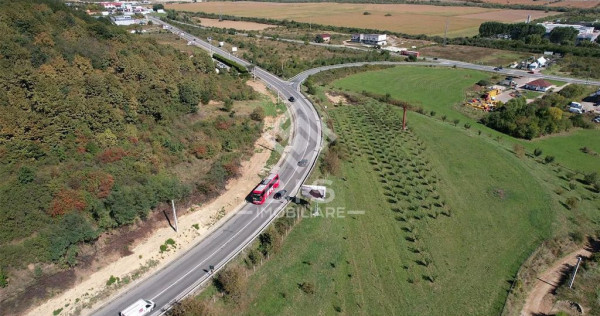 Teren Intravilan - Viisoara