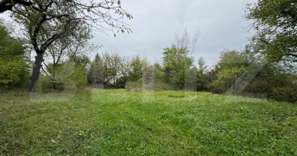 Teren intravilan 7362 mp, Oportunitate de investitie,