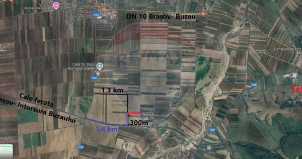 Teren extravilan Prejmer 13000mp