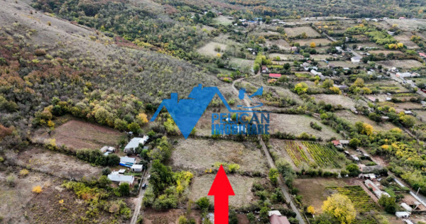 Teren intravilan NICULITEL, zona deosebita, 3044MP