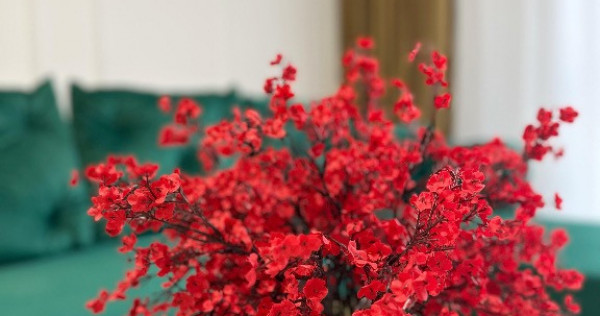 || PASARELA BERCENI || Garsoniera ideală de investiție