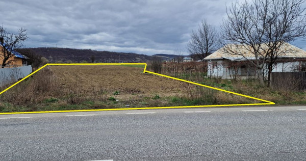 Teren intravilan in Sanduleni/Bacau de vanzare