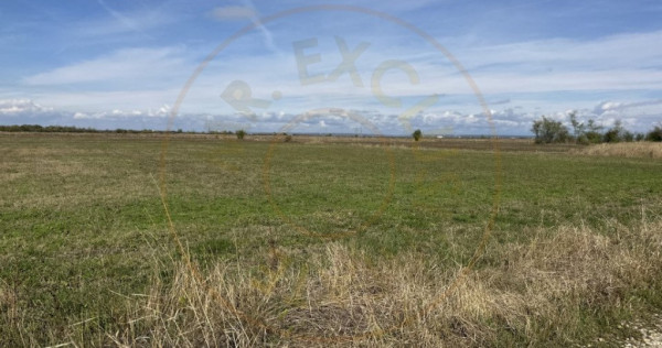 Teren intravilan 3700 mp - zona linistita