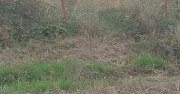 Teren intravilan cu PUZ in Cisnadioara