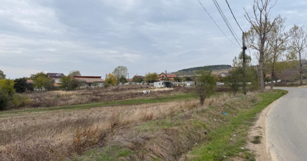 Teren extravilan 8665 mp, Fratostita, Filiasi, COMISION ZERO