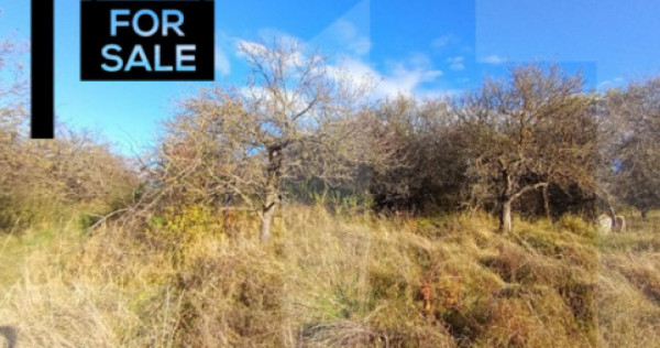 Oportunitate de investitie in zona Wonderland