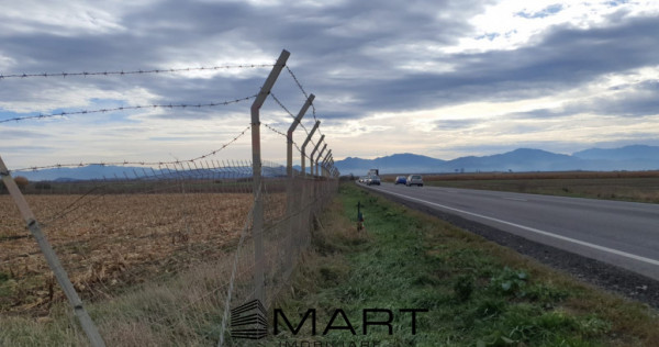 Teren intravilan Calea Feldioarei