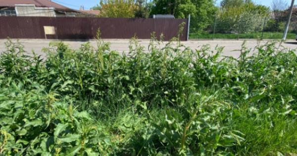 Teren intravilan zona KM 5, Constanța