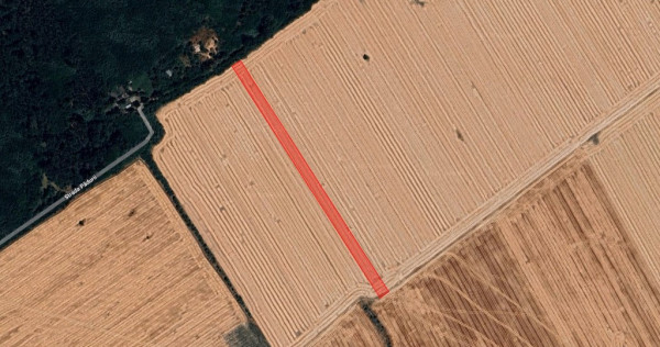 Teren intravilan Buftea 9993mp