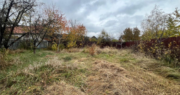 TEREN INTRAVILAN IMPREJUMUIT, SANPETRU