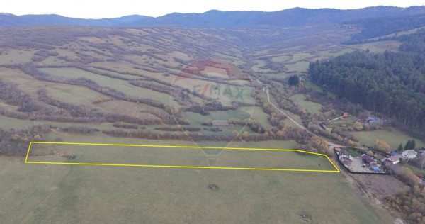 Teren 5.800 mp Purcareni curent, gaz, apă / Strada 30 de...