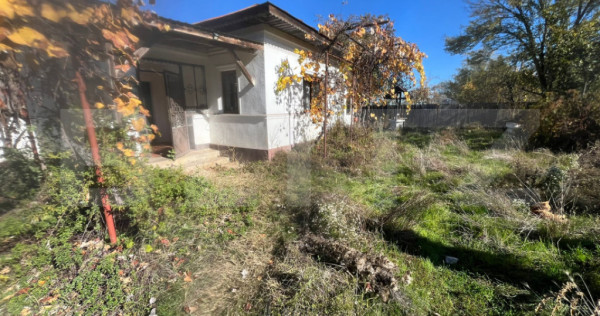 Casă tradițională cu teren 4.500 mp și anexe gospodăre?