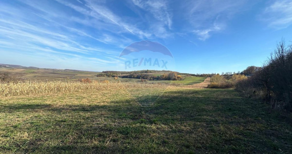 DE VANZARE - teren in ograda