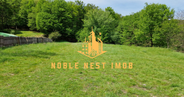 Teren extravilan 2200 mp - Budeasa Mică, Argeș, COMISION 0.