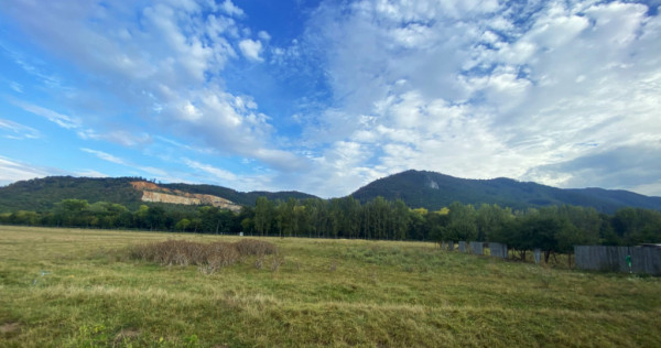 Teren intravilan 13 820 mp, cu acces pe un drum asfaltat, re