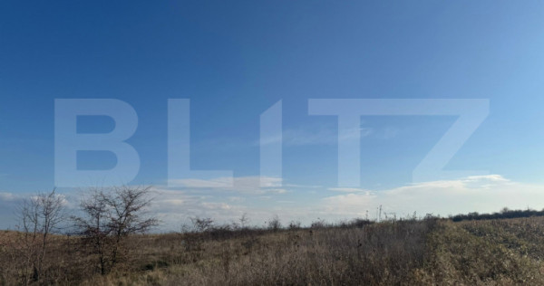 Teren extravilan 1700 mp, zona Archia