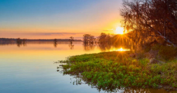 SISESTI teren. 5000mp iesire la LAC