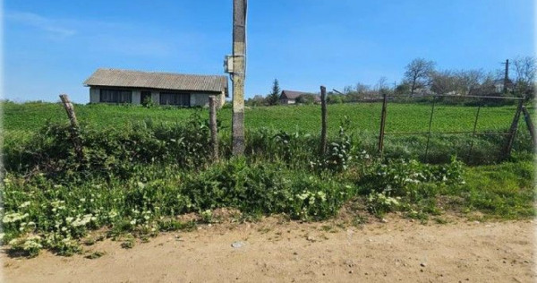 Teren Bradesti, ID: R2805453