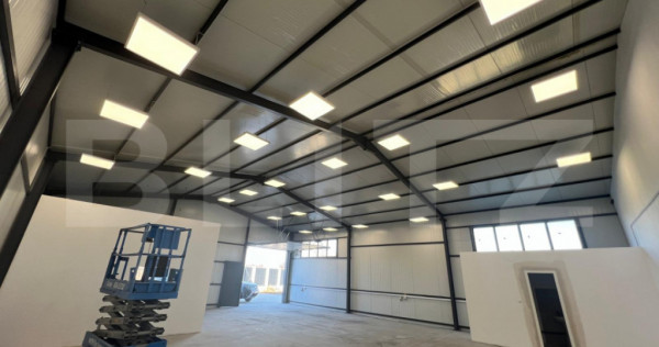 Hala 290,6 mp si 1263 mp teren, zona Carcea