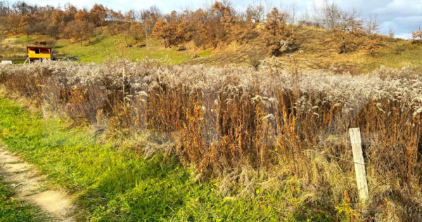 Teren extravilan de vanzare, 2400 mp, zona Valea Ghinzii