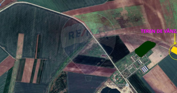 Teren agricol 14,200mp zona fermei din Zimandu Nou