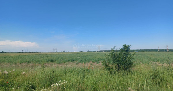 Teren intravilan, 12000 mp, Ciorogarla, jud. Ilfov