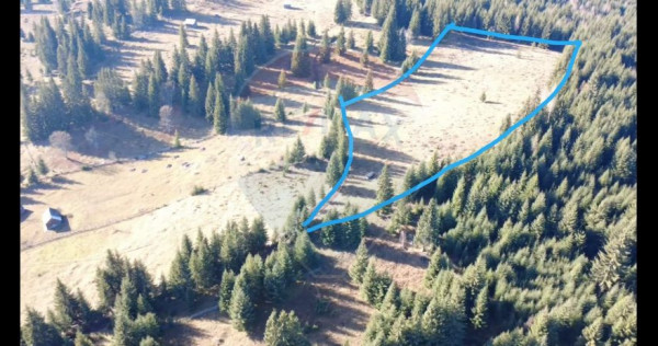 Teren 16,289mp Coverca / Drumul Bucinis