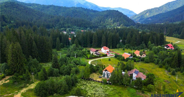 FILM!Resedinta cu farmec montan, domeniu de 1.700 mp,cadru s