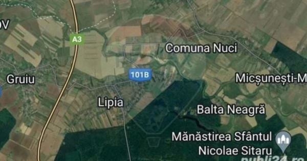 Vand teren extravilan IF Com. Nuci Sat Balta Neagra. 15000mp