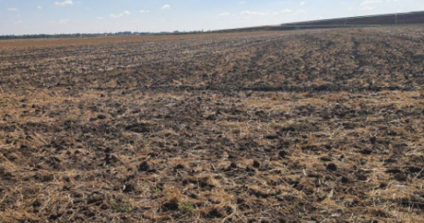 TEREN EXTRAVILAN 7.802 mp –DOMNESTI, ILFOV