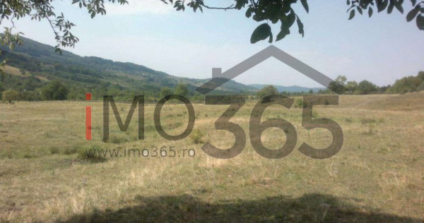 Teren 15 Hectare in sat | Mihaesti | Arges