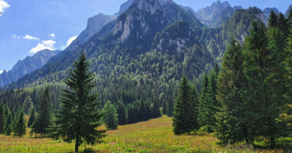 Teren intravilan in Busteni, PH, 8200 mp, front stradal 118 ml