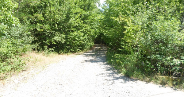 Teren intravilan in Boldesti Scaeni, Prahova, 7410 mp