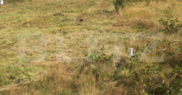 Teren extravilan 3300 mp, Cârțișoara- Set