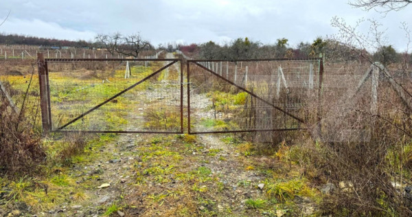 Teren extravilan de vanzare, 1.057 mp, zona Sigmir
