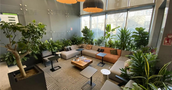 Spatiu de Birouri de 1770 mp in Zona Floreasca