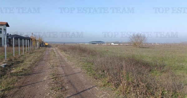 Super teren intravilan (Lot 2) la DJ 101, loc. Gruiu IF, id