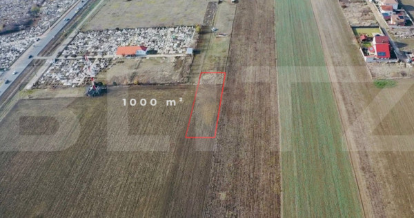 Teren 1000 mp, Oportunitate de Dezvoltare în Vladimirescu