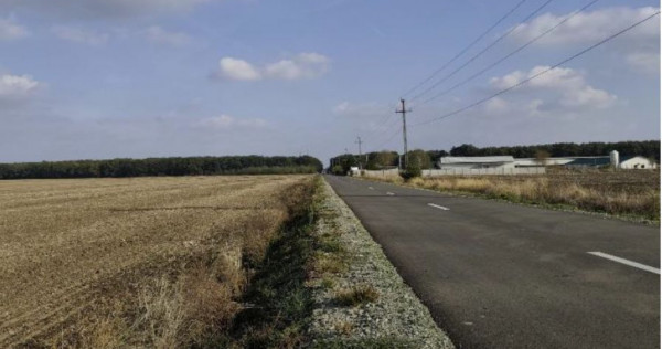 Teren extravilan Varvoru de Jos, jud Dolj