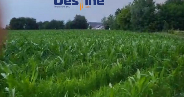 TEREN INTRAVILAN 10.000 MP, CATAMARESTI DEAL, BOTOSANI